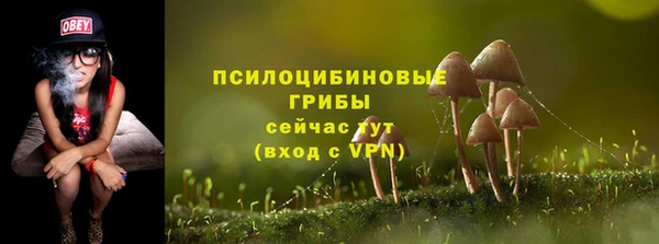 спайс Алексин