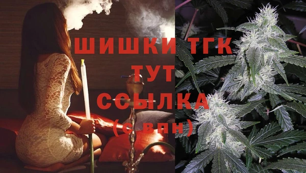 спайс Алексин