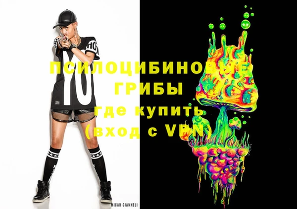 спайс Алексин