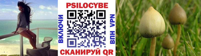 Галлюциногенные грибы прущие грибы  Димитровград 